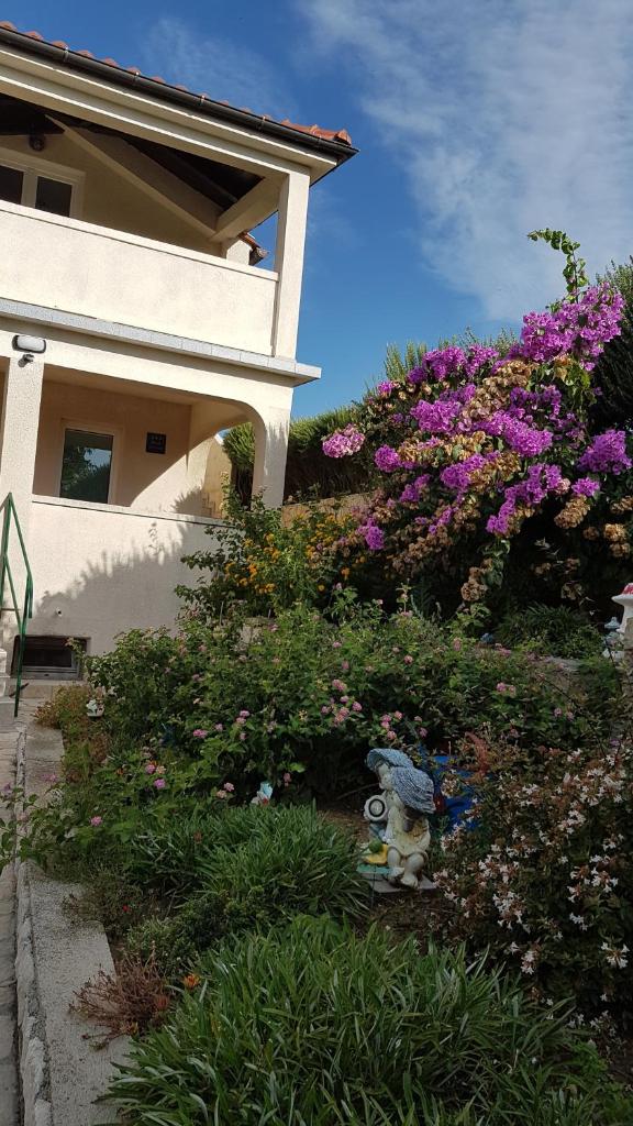 Apartmani Roza Lopar photo 4