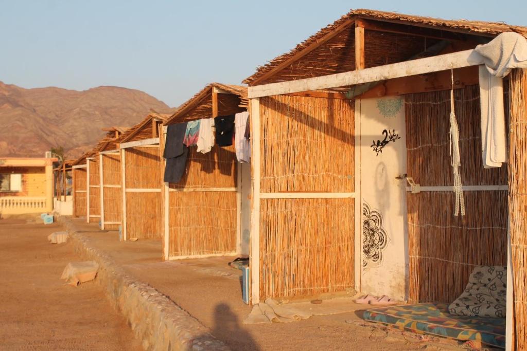 Alwaha Camp photo 1