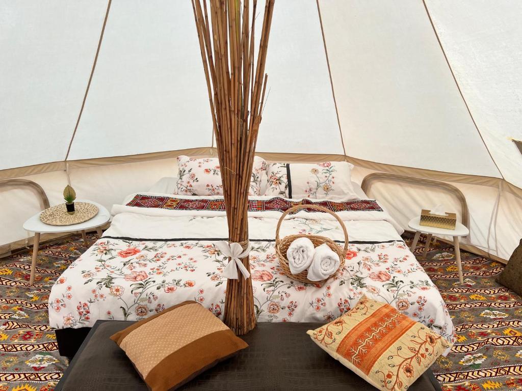 Thousand Stars Desert Camp photo 2