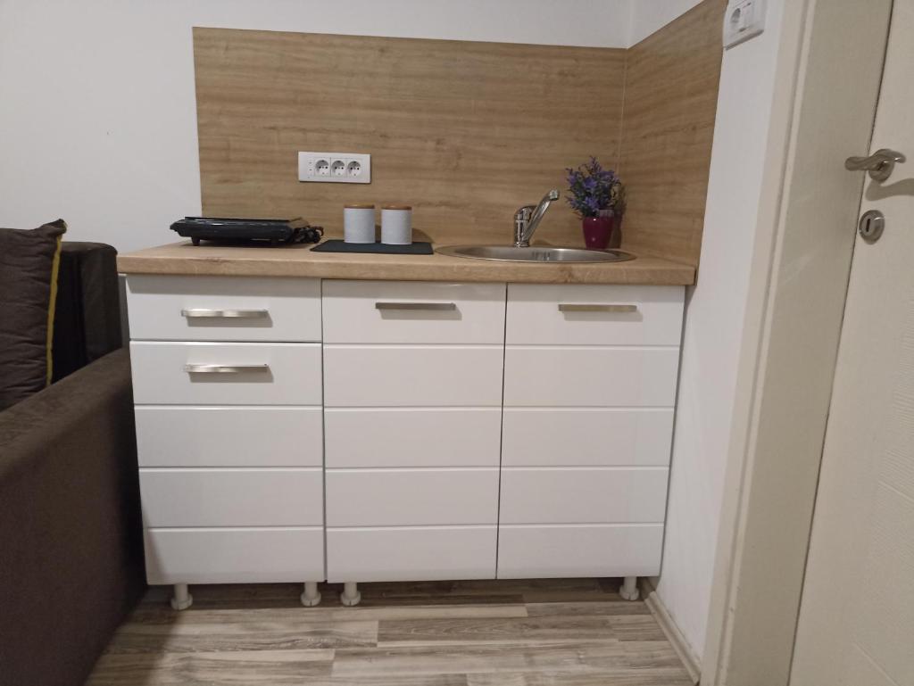 Vikendica apartments Dunav MS photo 3