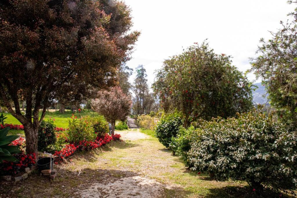 Soare Country house photo 4