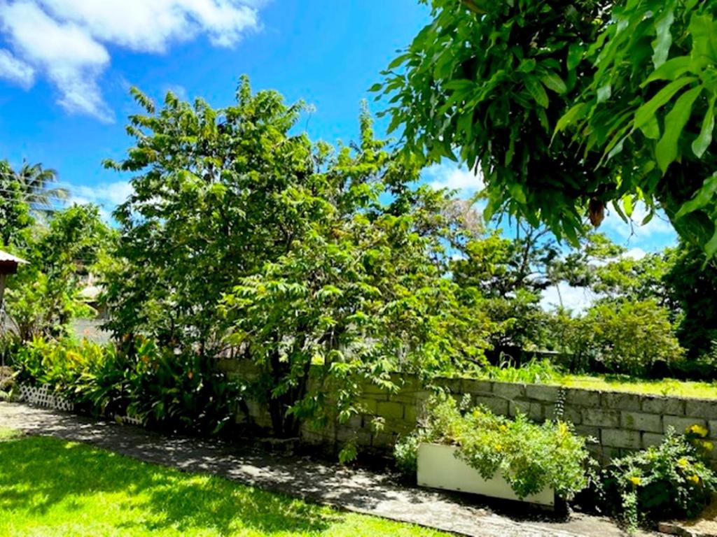 Casa Villa Apartments photo 2