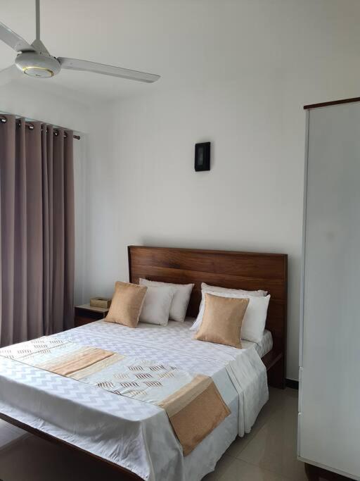 Amaranty Mount Lavinia photo 3