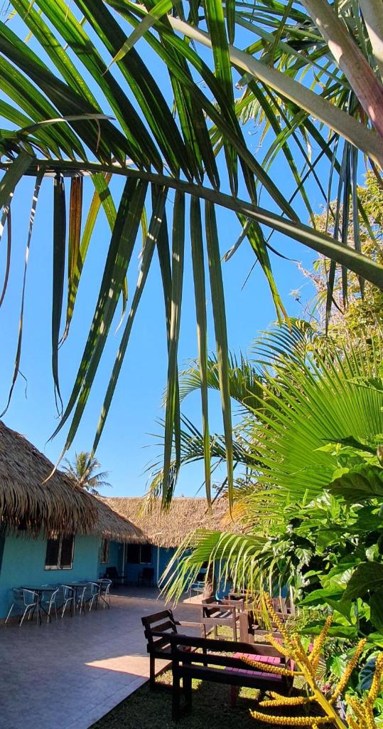Hotel & Apartments "CHEZ HIVA" photo 4