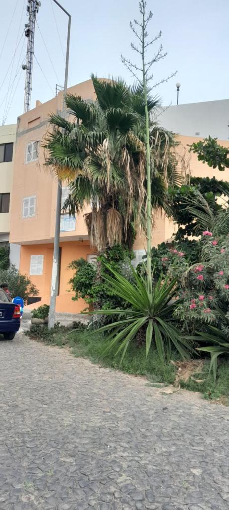 Laginha Beach Guest House photo 4