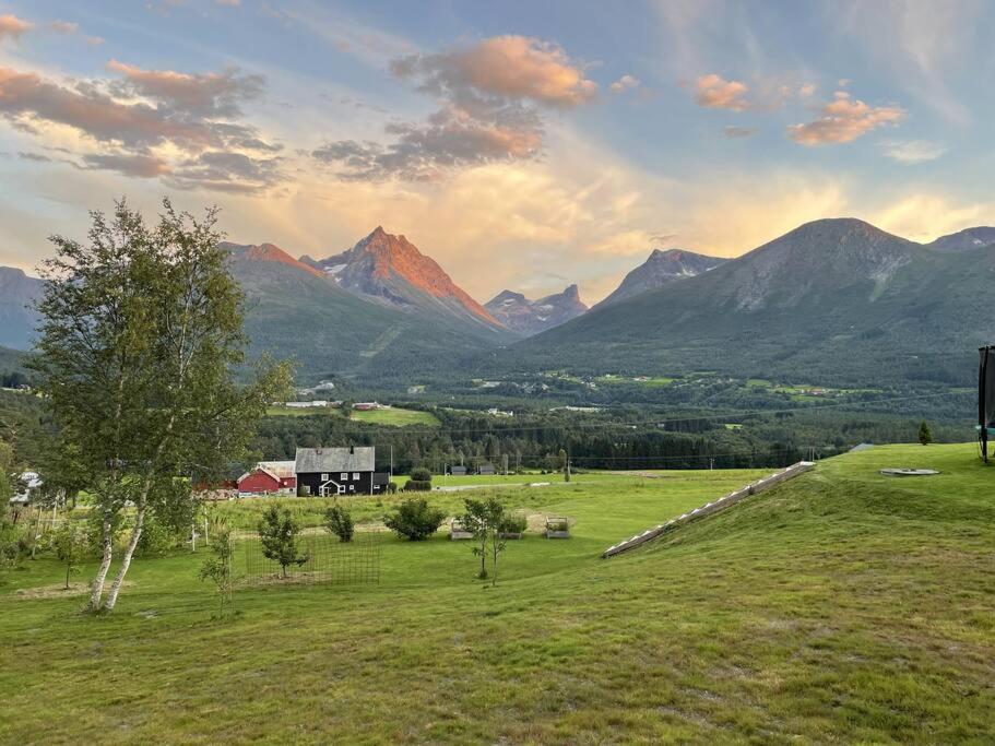 Villa i Isfjorden! photo 1