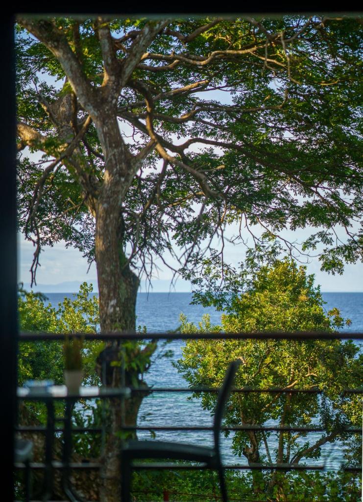 Oceanside 2 bedroom house, 50Mbps WiFi photo 1