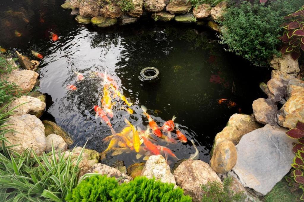 Venue Travel Minh Trí Rose Garden Villa