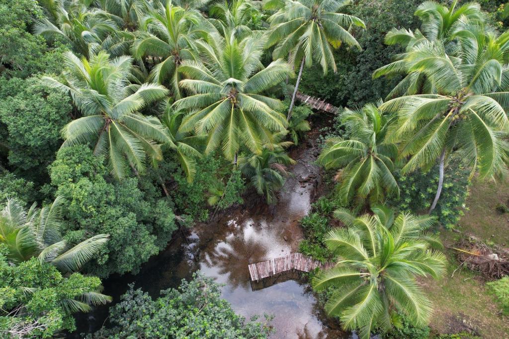forestel homestay kohkood ฟอเรสเทล โฮมสเตย์ เกาะกูด photo 3