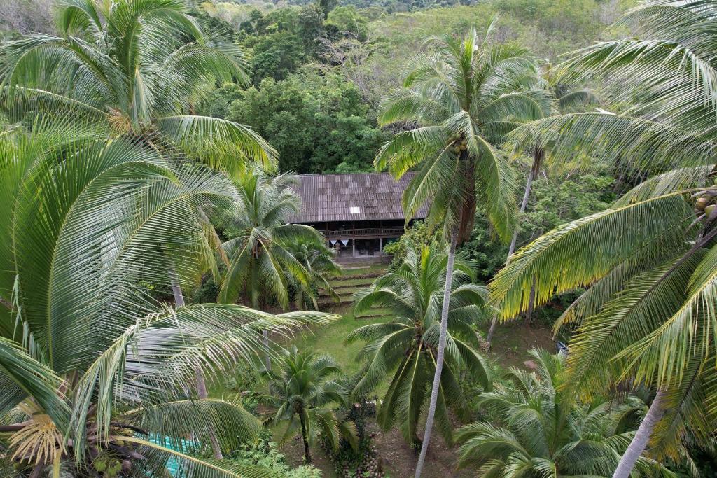 forestel homestay kohkood ฟอเรสเทล โฮมสเตย์ เกาะกูด photo 2