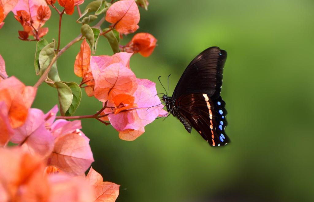 JustFor2 photo 2