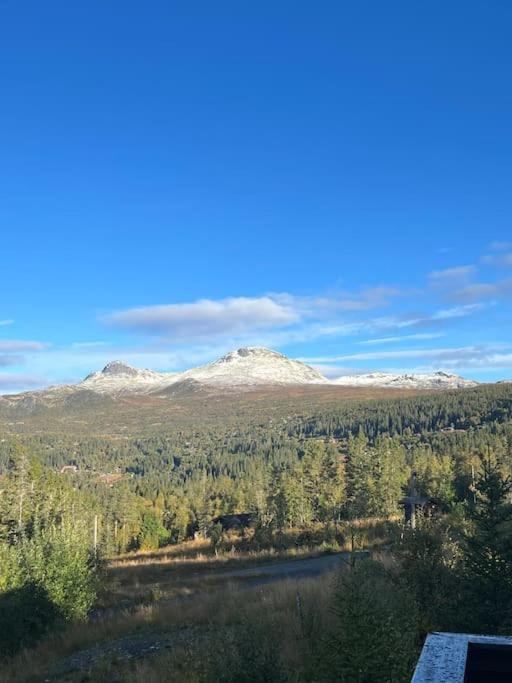 Hytte i Tuddal photo 3