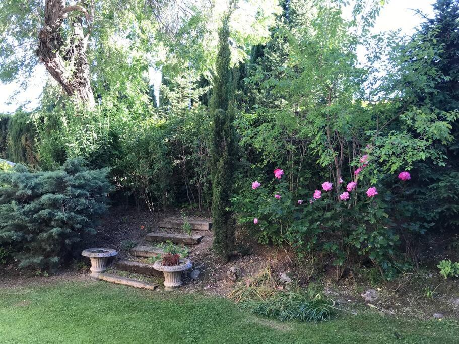 Lujoso pareado con jardín en la Moraleja - Encinar photo 1