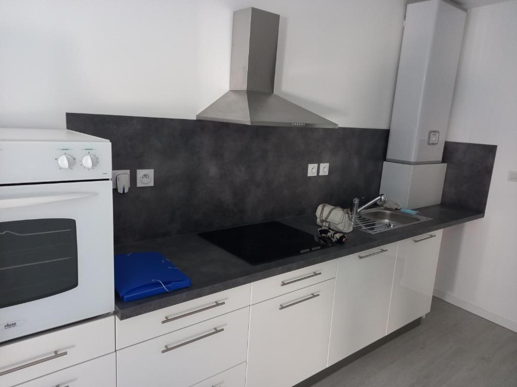 Tres bel appartement photo 4