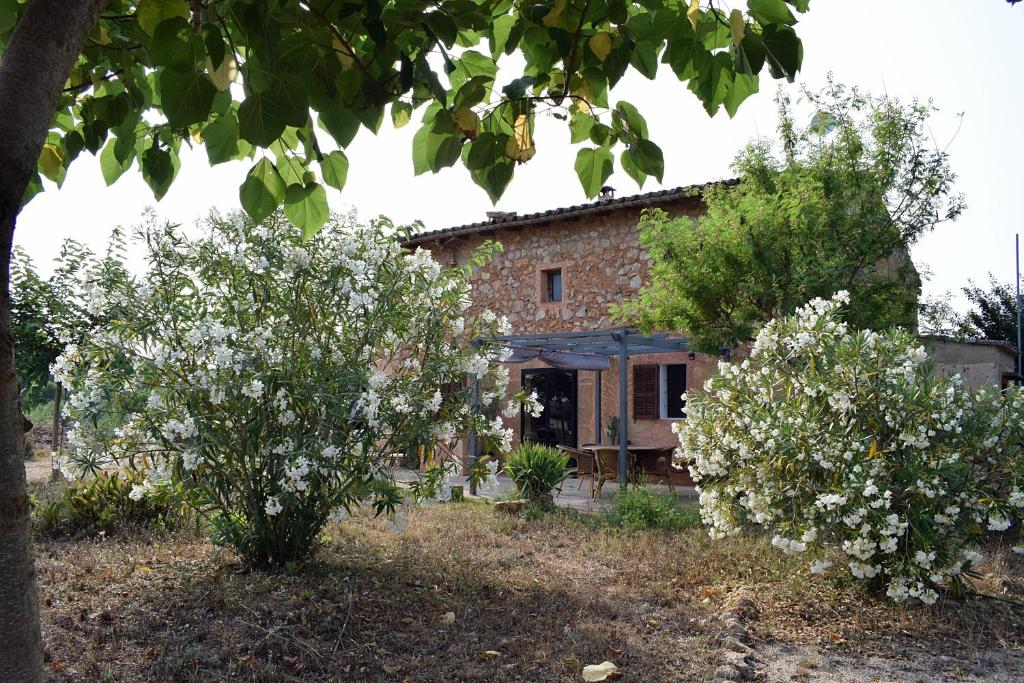Sa Riba, Country house in Mallorca photo 1