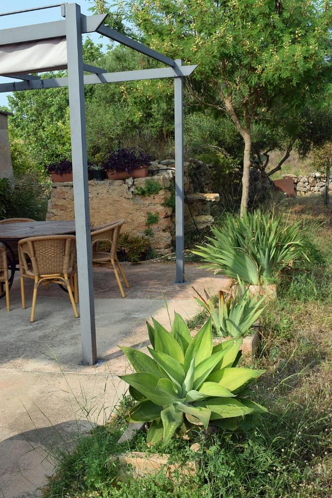 Sa Riba, Country house in Mallorca photo 3