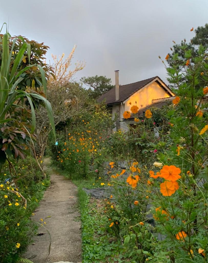 Family house - stay on pine hill Dalat photo 4
