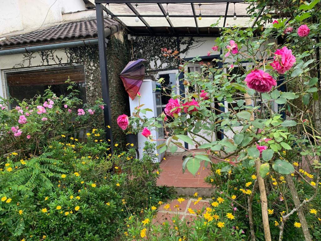 Family house - stay on pine hill Dalat photo 2