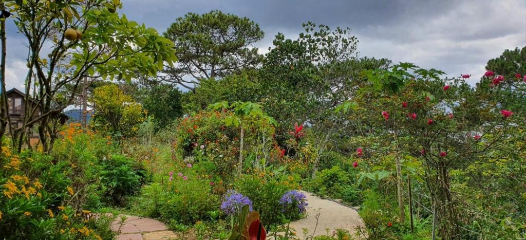 Family house - stay on pine hill Dalat photo 1