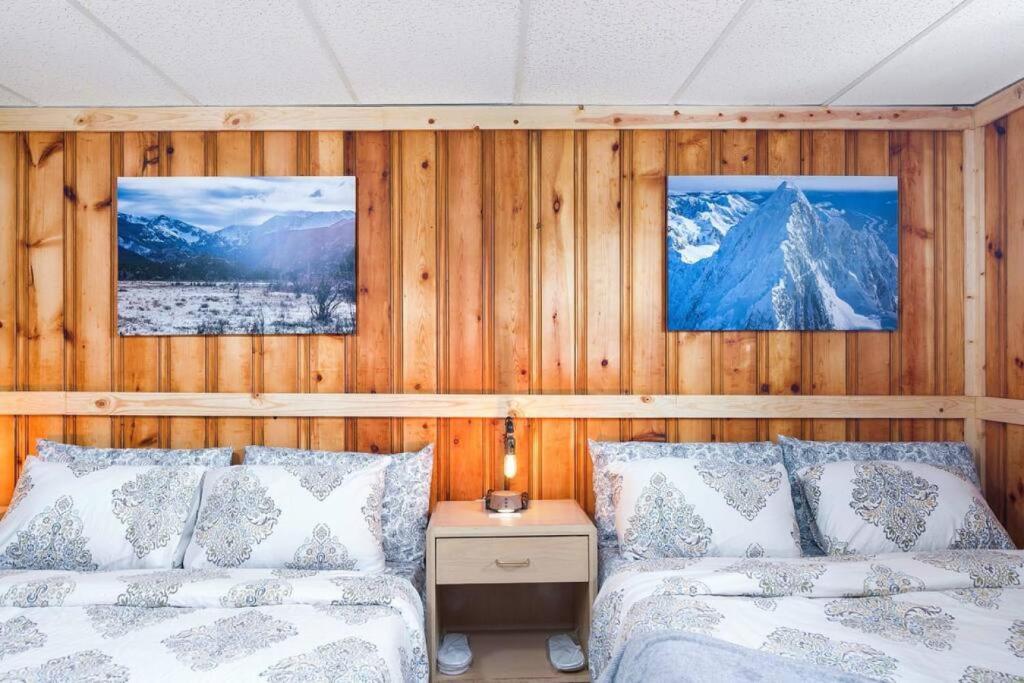 1 Spacious Private Room Dog Friendly Leadville photo 1