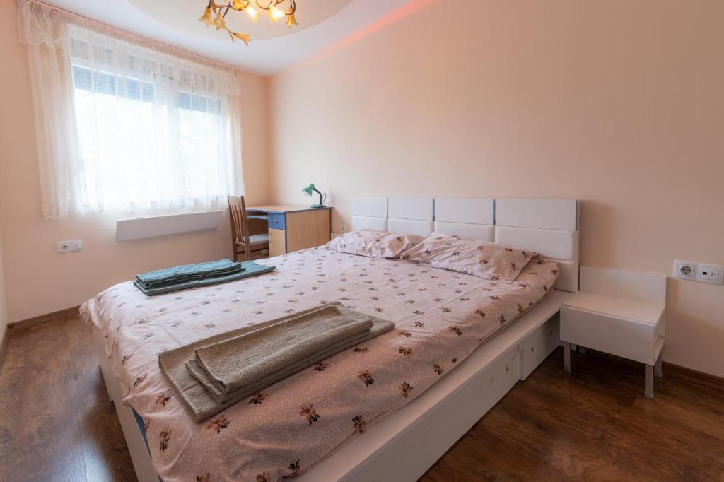 Cozy Apart TOP Center AUBG Free Garage Park photo 3