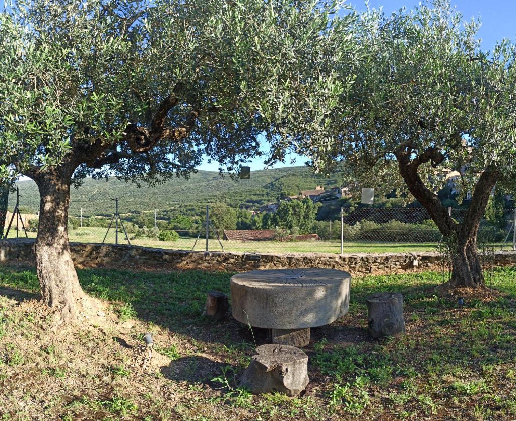 Casa Fonset photo 3