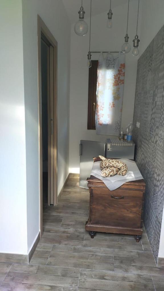 Casa Gaia photo 3