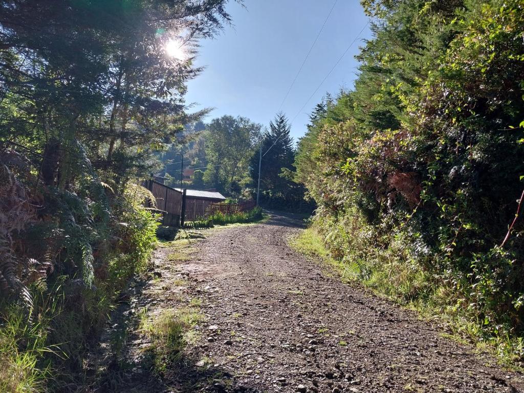 Curuba Lodge photo 1