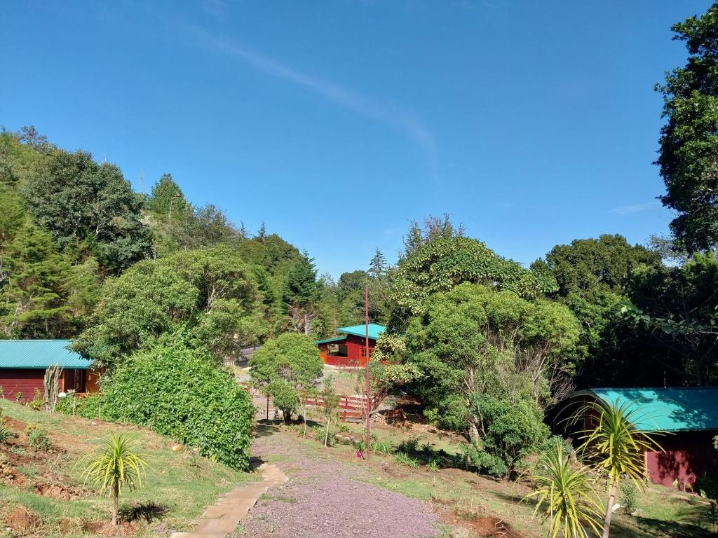 Curuba Lodge photo 3
