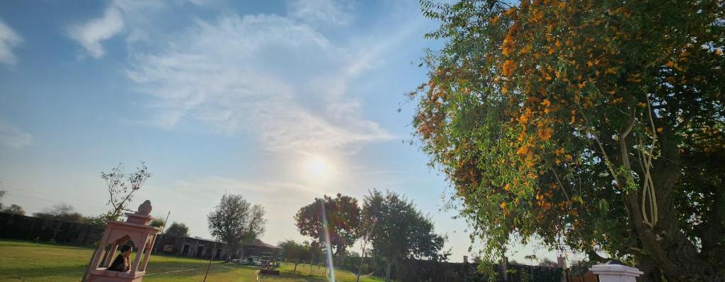 Holiday farm jodhpur photo 2