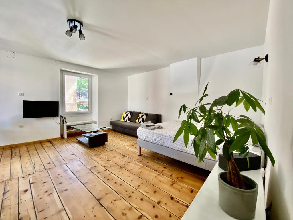 Grand studio classé 4 étoiles avec jardin et garage vélo, moto photo 2
