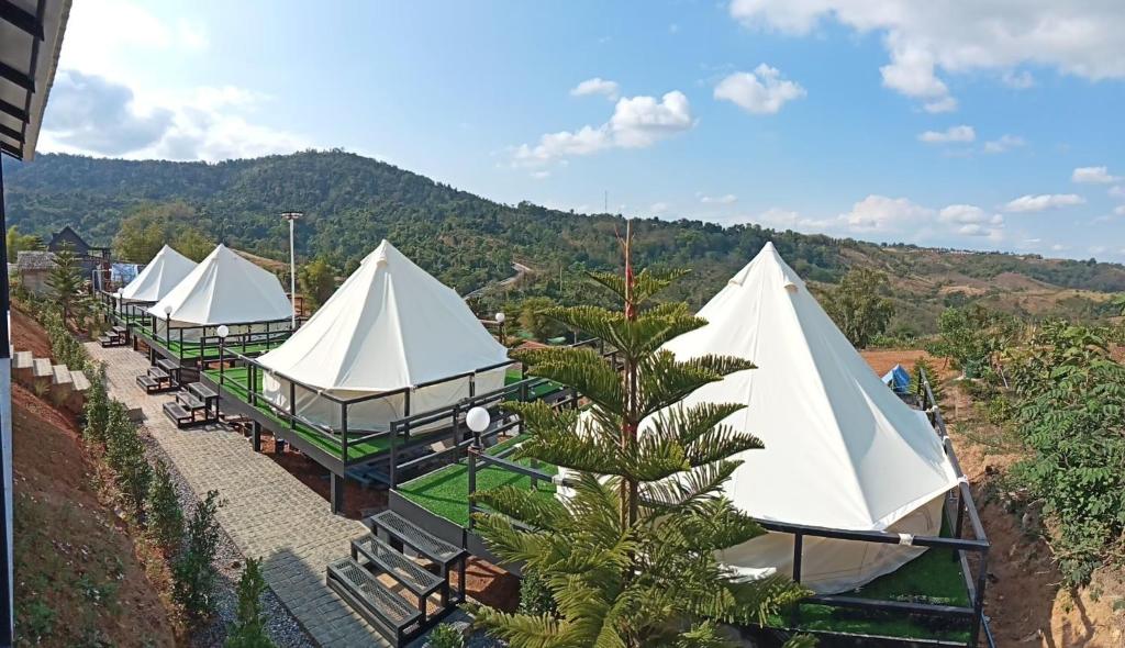 Yenyen Camping เย็นเย็น แคมป์ปิ้ง