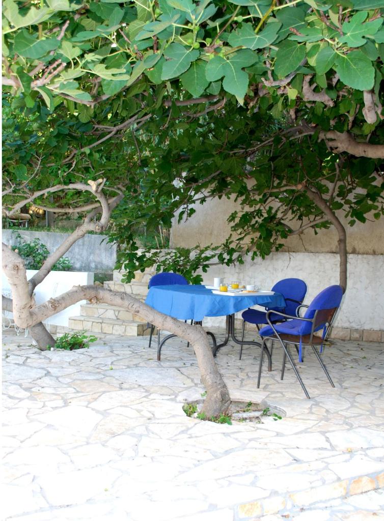 Lokunja Bed&Breakfast photo 3
