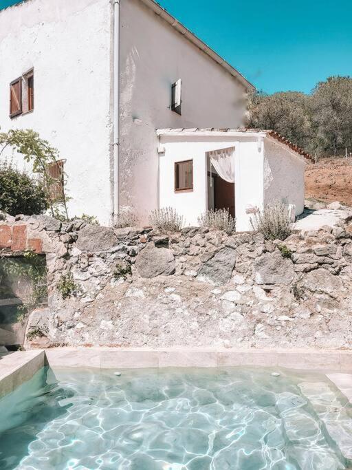 Casa Om photo 2