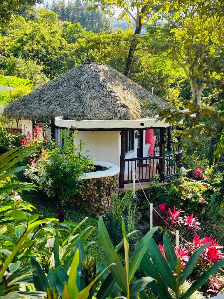 Villa La Fortuna photo 2
