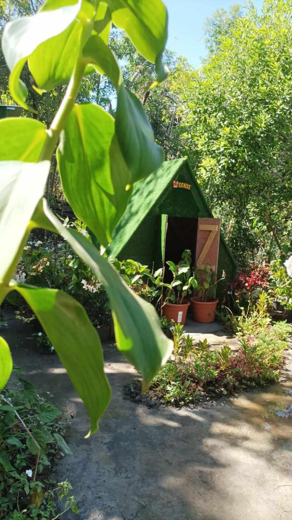 Camping D'Tente Paradise