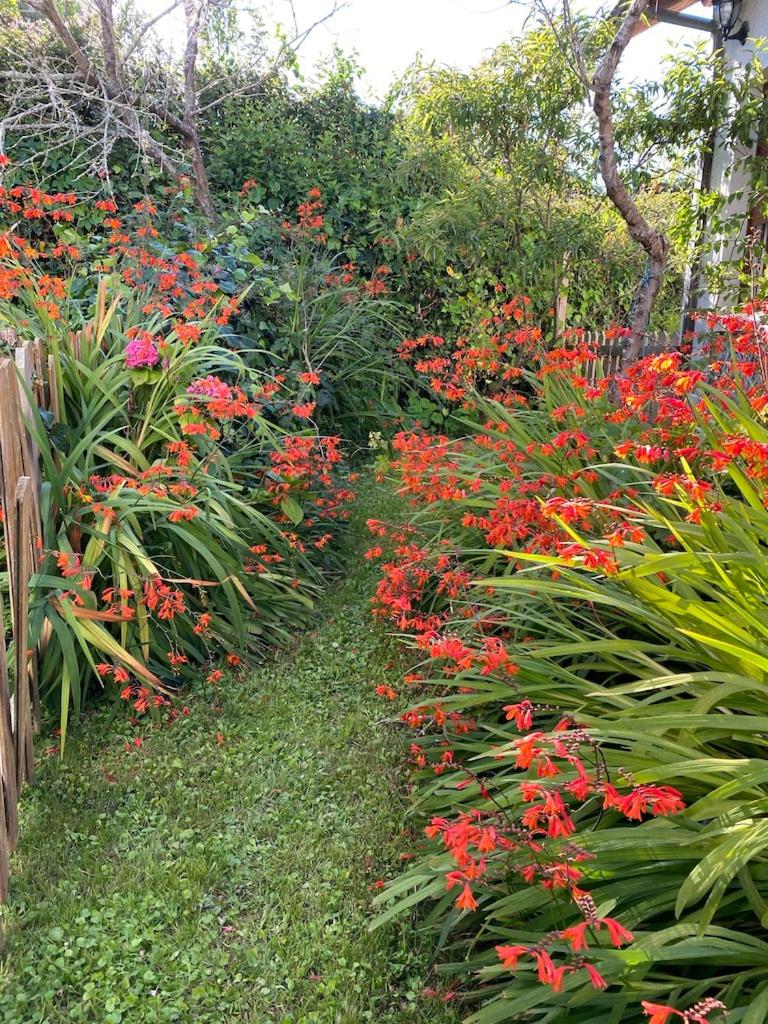 La Casina de Inesita photo 4