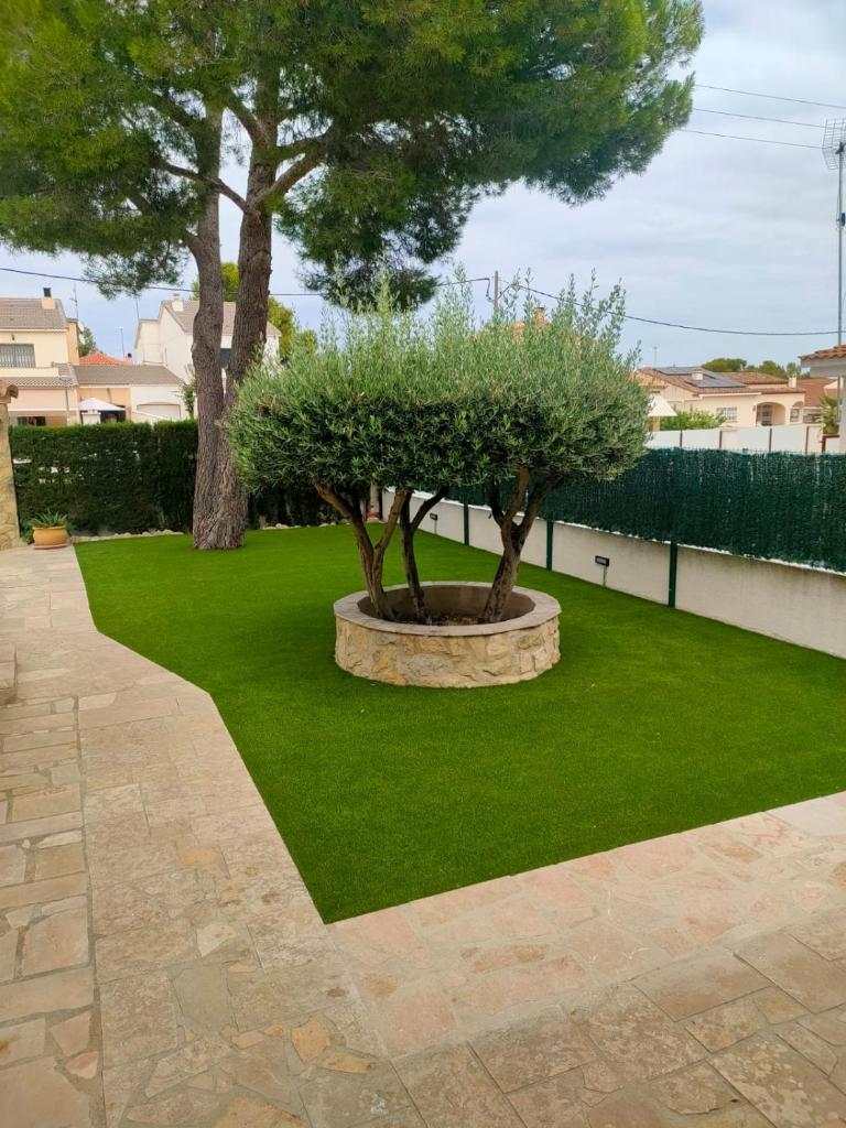 Casa Coco photo 2