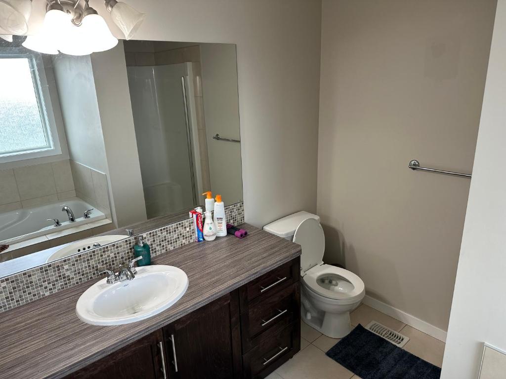 Proland Smart Suite photo 2