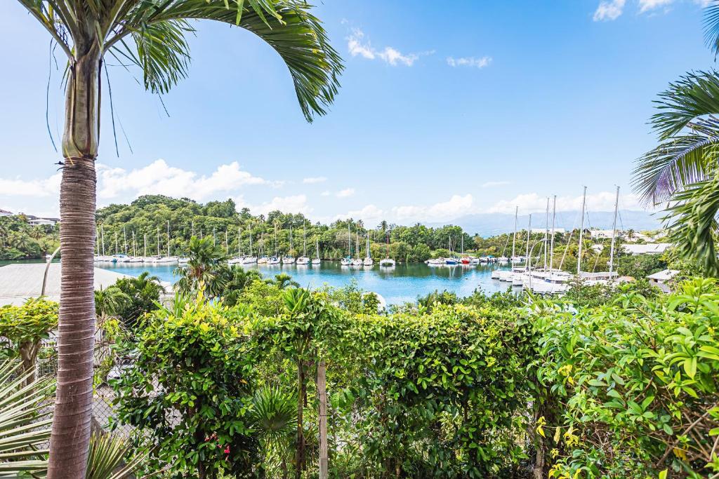 Studio élégant Marina du Gosier photo 2