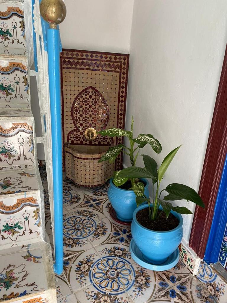 Charming Cozy house kasbah photo 2