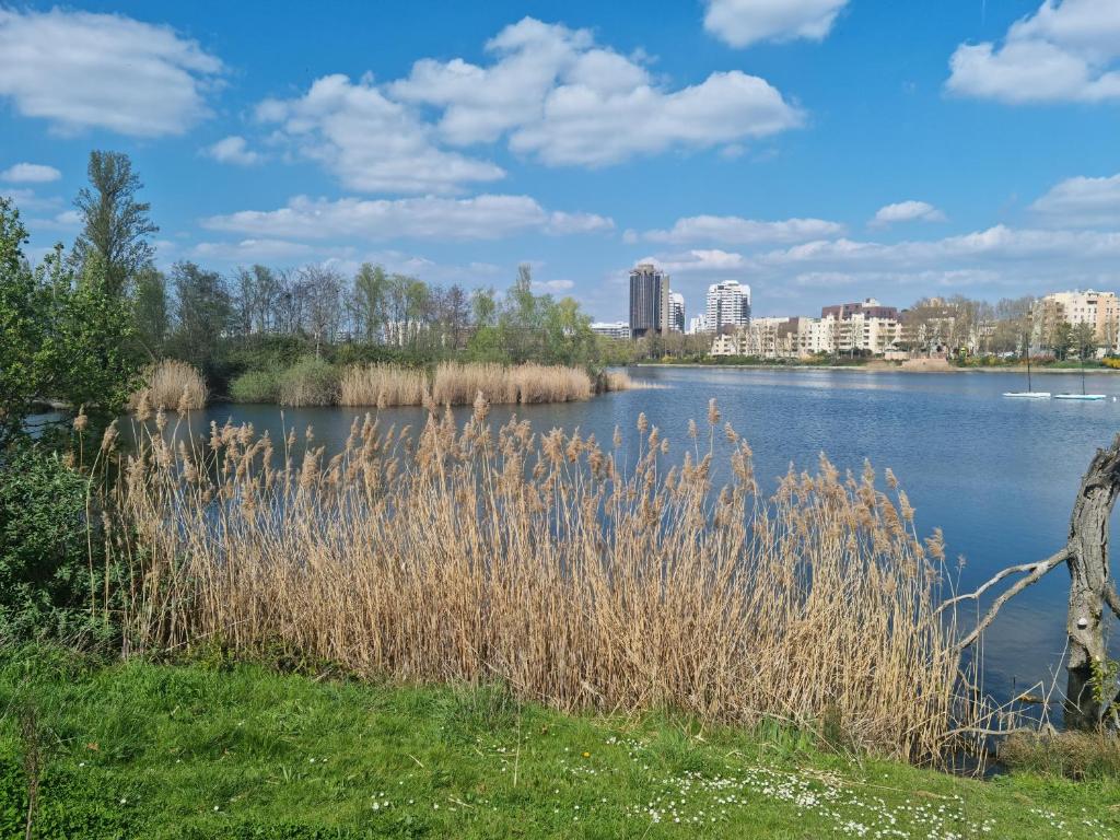 lac de CRETEIL, proche PARIS