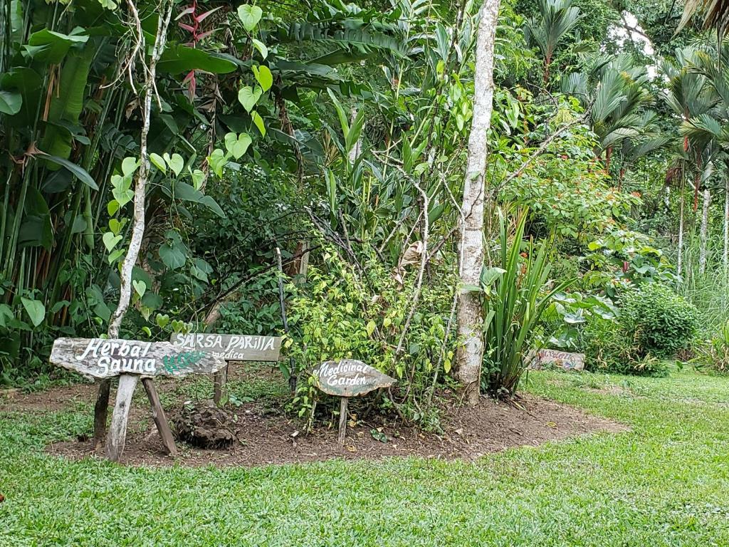 Wildlife Lodge Cahuita photo 2