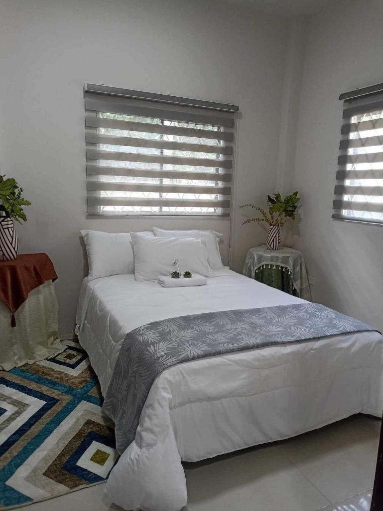 Casa doña elenita photo 4