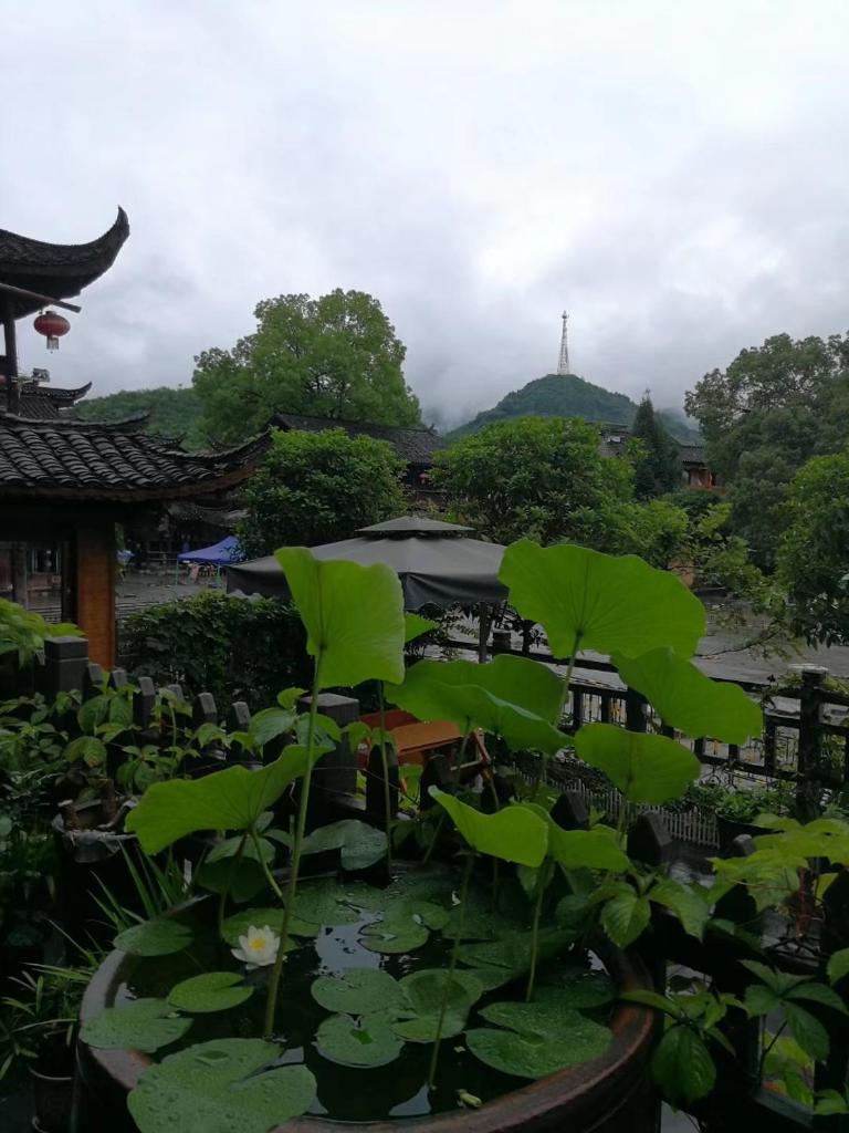 372 Jingjing Home photo 2