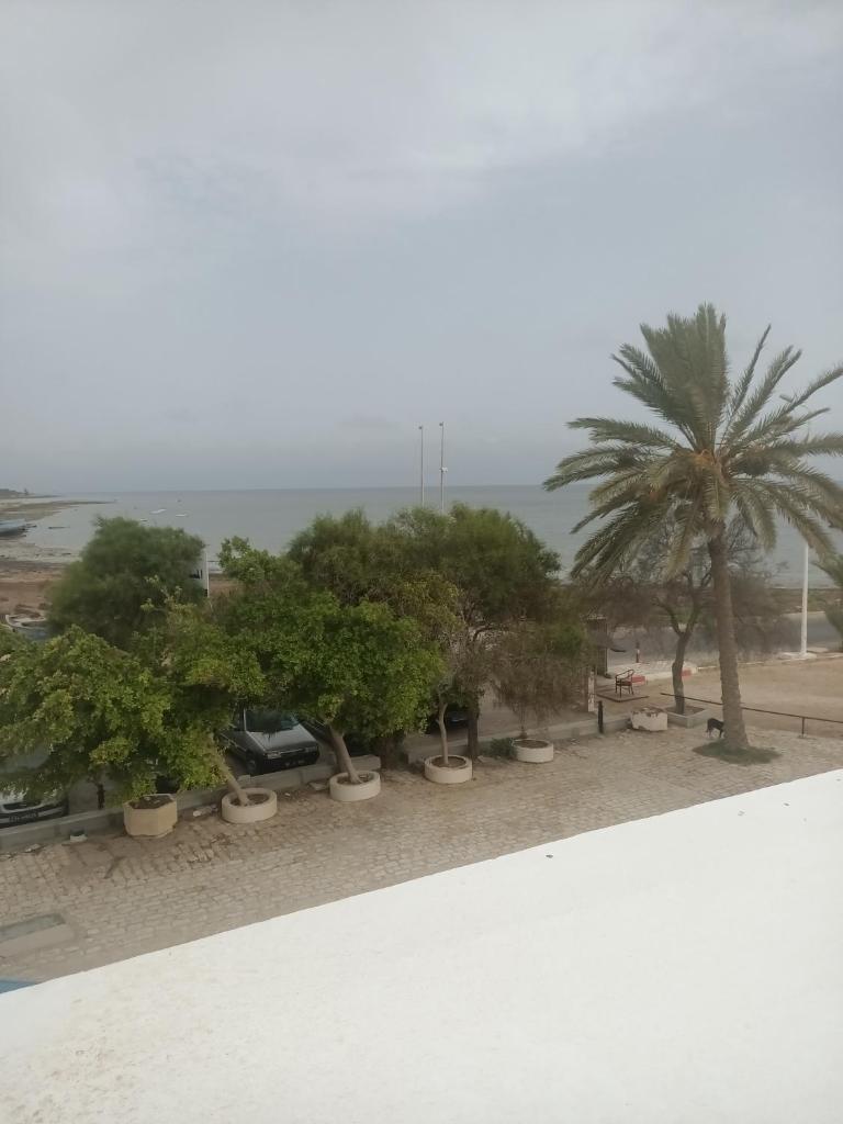 Kamel 114 photo 4