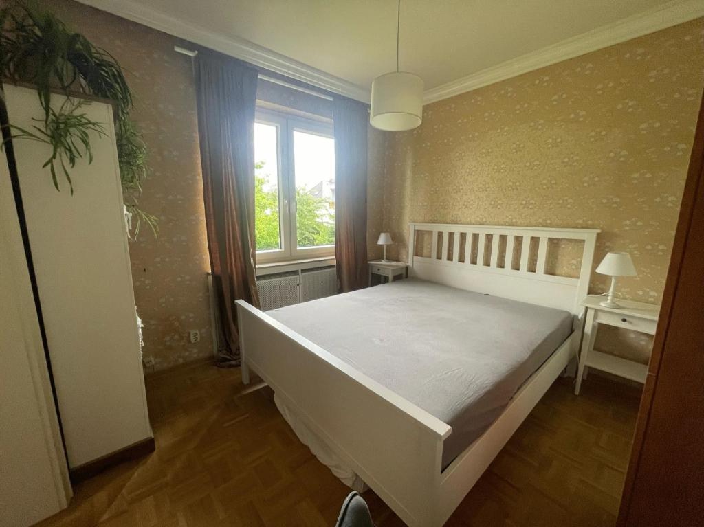 Ferienwohnung im Obstgarten photo 4