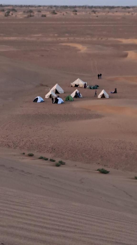 Mhamid wild Trekking Camels photo 3