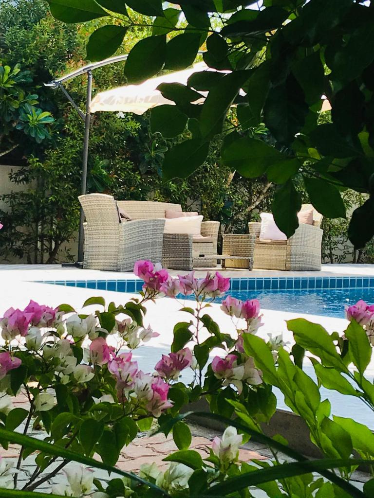 Guest House, shared pool, private bathroom and kitchen photo 3