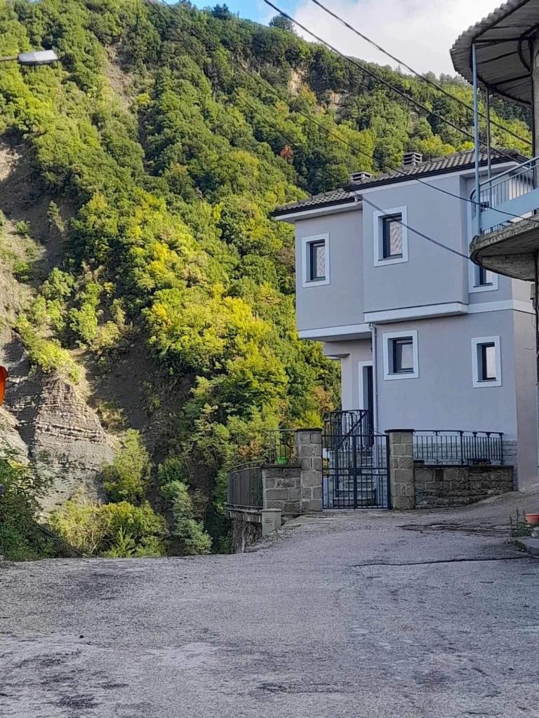 Agnanta Mountain Residence photo 1